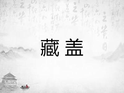 藏盖 藏盖