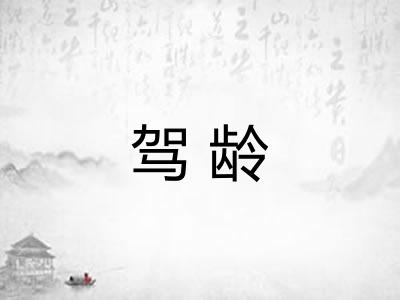 驾龄
