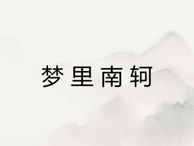 梦里南轲