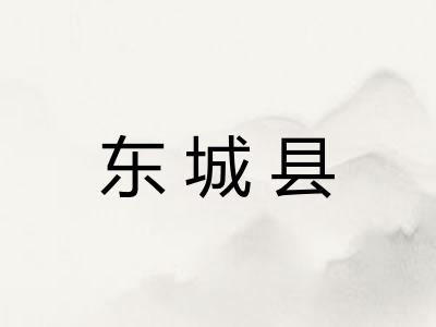 东城县 东城县