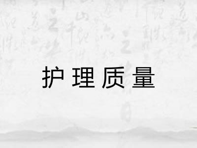 护理质量 护理质量