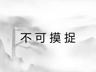 不可摸捉