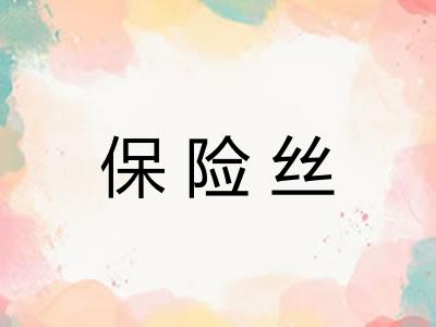 保险丝 保险丝