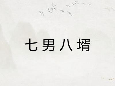 七男八壻 七男八壻