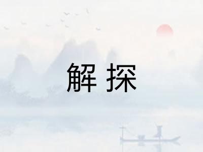 解探 解探