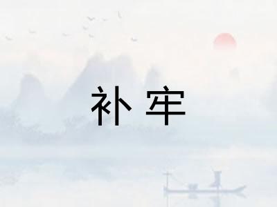 补牢 补牢