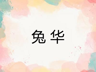 兔华