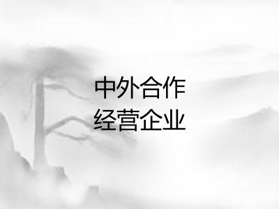 中外合作经营企业 中外合作经营企业