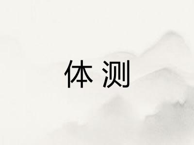 体测