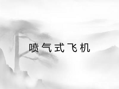 喷气式飞机 喷气式飞机