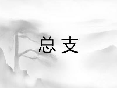 总支 总支