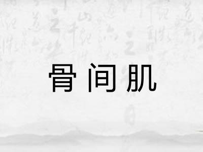 骨间肌 骨间肌