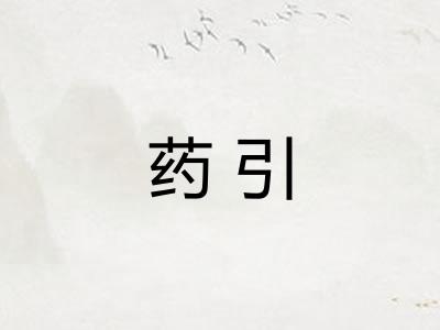 药引 药引