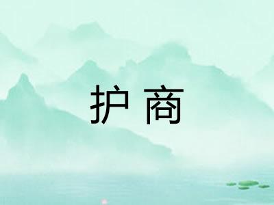 护商 护商