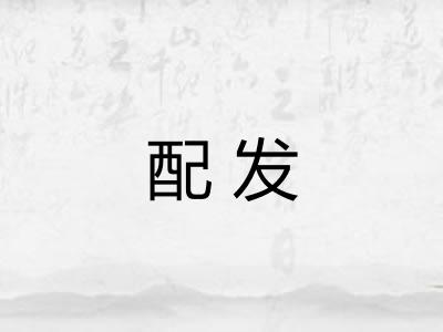 配发 配发