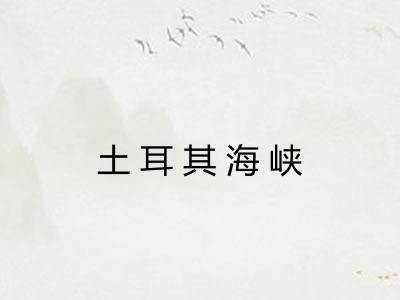 土耳其海峡 土耳其海峡