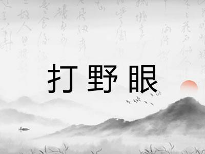 打野眼