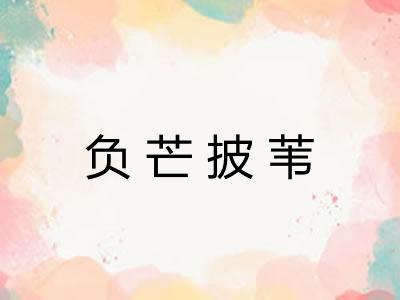 负芒披苇 负芒披苇