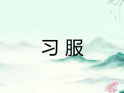 习服
