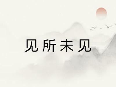 见所未见 见所未见