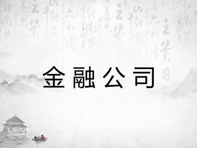 金融公司 金融公司