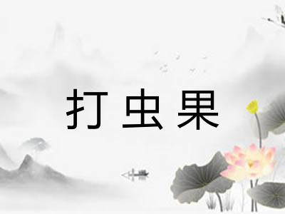 打虫果 打虫果