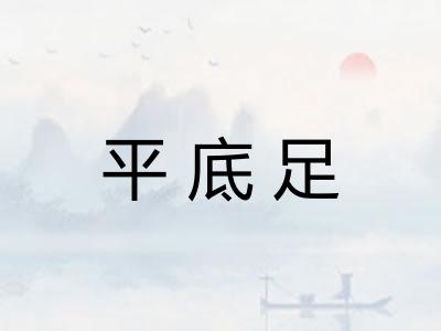 平底足 平底足