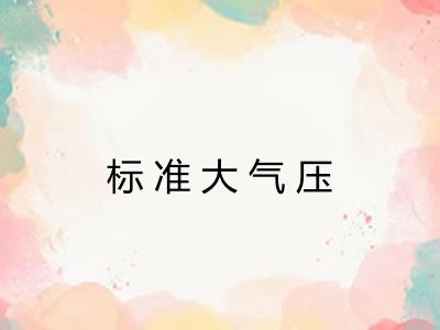 标准大气压 标准大气压