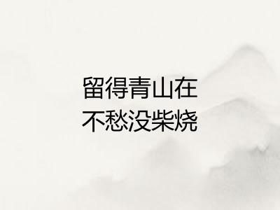 留得青山在不愁没柴烧