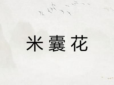 米囊花