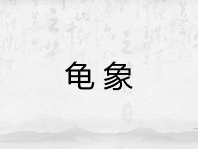龟象 龟象