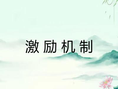 激励机制 激励机制