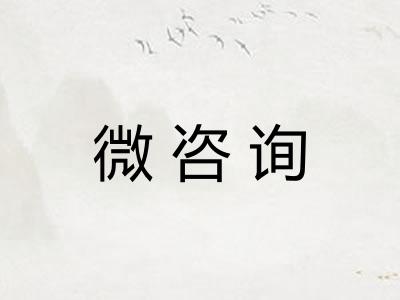 微咨询 微咨询
