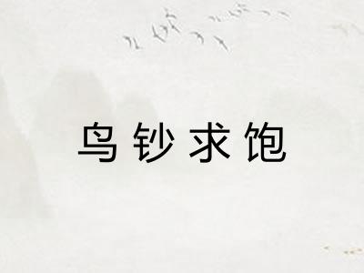 鸟钞求饱 鸟钞求饱