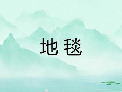 地毯 地毯