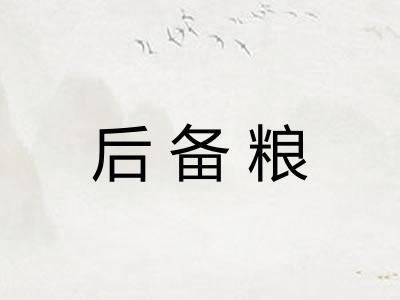 后备粮 后备粮