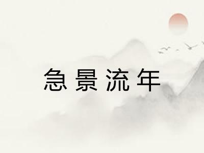 急景流年 急景流年