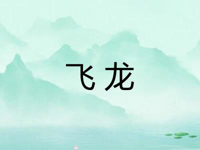 飞龙 飞龙