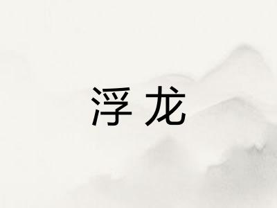 浮龙 浮龙