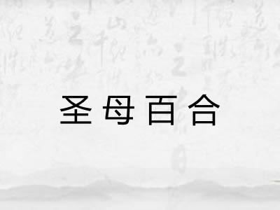 圣母百合