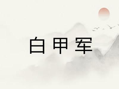 白甲军 白甲军