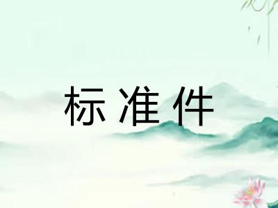 标准件 标准件