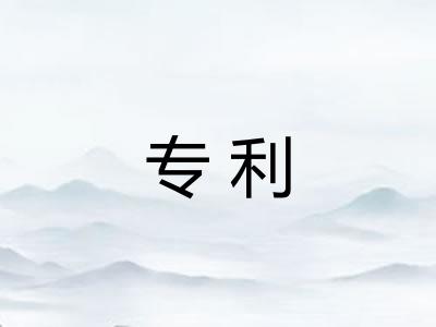专利 专利