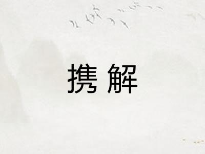 携解