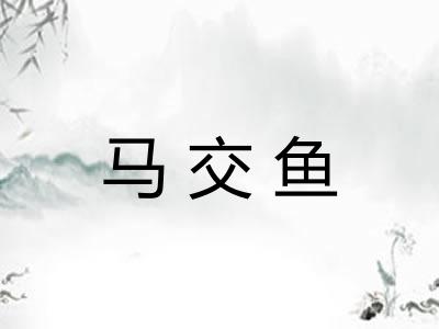 马交鱼 马交鱼