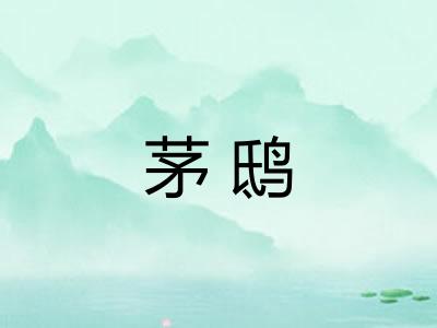 茅鸱