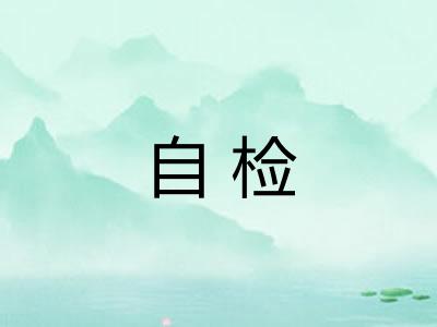 自检