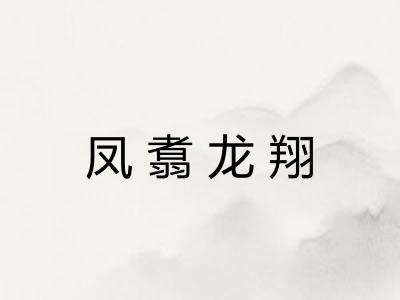 凤翥龙翔 凤翥龙翔