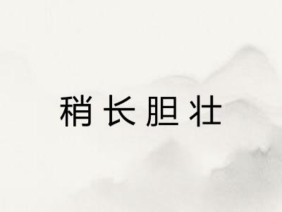 稍长胆壮 稍长胆壮