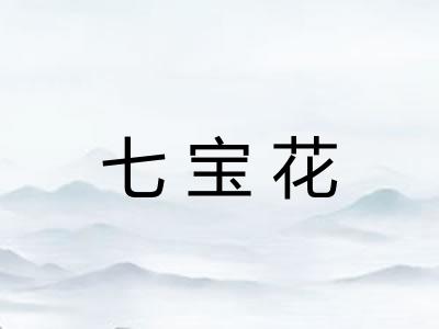 七宝花 七宝花